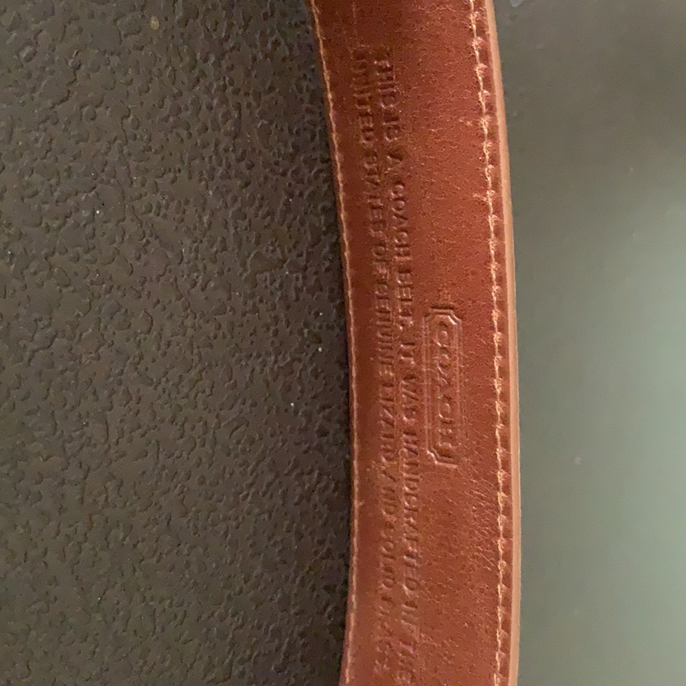 Coach Genuine Brazilian Lizard/Brass Belt Gem